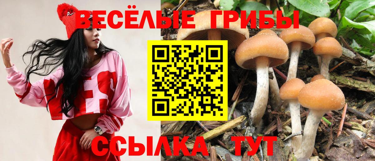 Галлюциногенные грибы Cubensis Фурманов