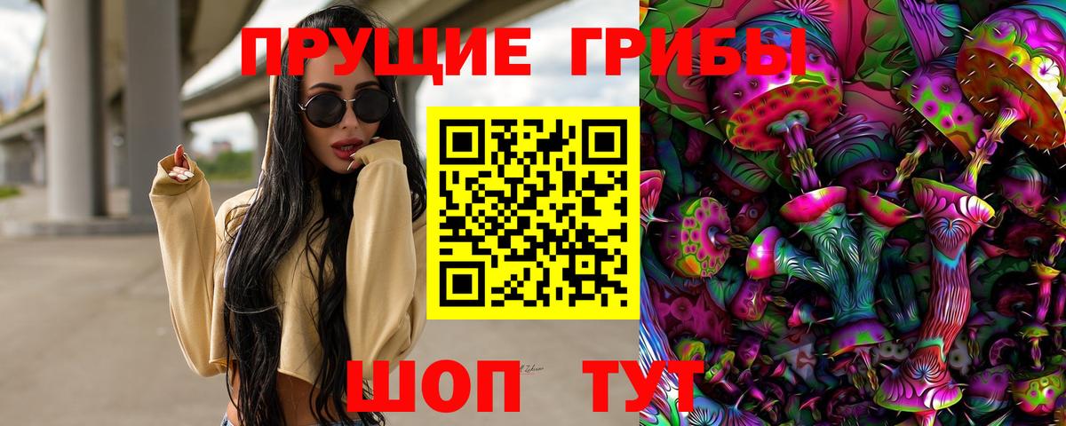 Фурманов  Псилоцибиновые грибы Psilocybine cubensis  Вход с VPN 